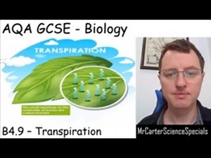 B4.9 - Transpiration - AQA Biology GCSE 9-1