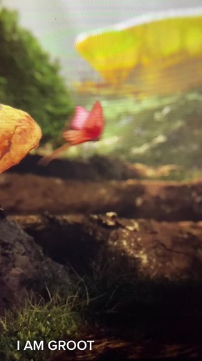 Episode 1 Groot- Groot took a bath and leaves started growing. That colorful bird laughing at him was not a good idea for the bird #iamgroot #marvelmovies