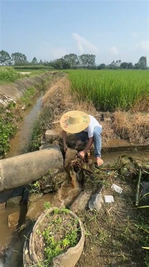 🌾💧 Clearing a Blocked Irrigation Channel to Restore Water Flow #shorts