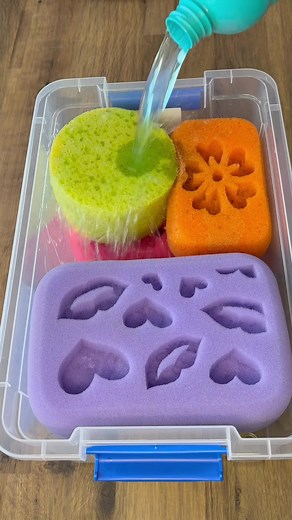 Asevi pH Sponge Experiment Part 1