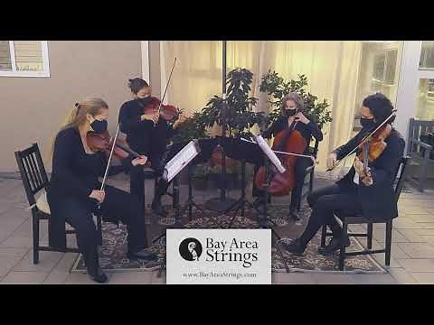 Merry Go Round of Life (from 'Howl's Moving Castle') ~ Bay Area Strings