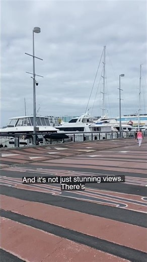 AUCKLAND VIADUCT AN AMAZING WATERFRONT #newzealand #shortvideo