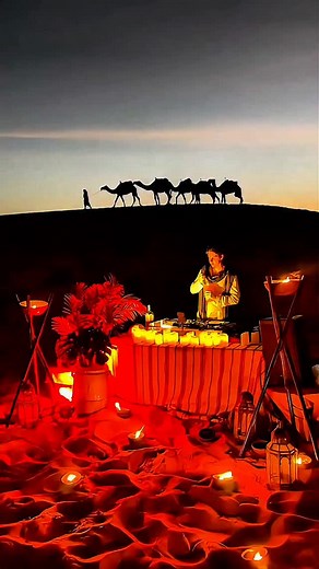 Desert vibes, camel views, DJ grooves. Only in Morocco 🐫 🇲🇦 | Electro Music Maroc