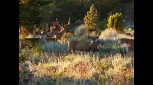 2K reactions · 420 shares | Utah's alluring landscape and impressive...