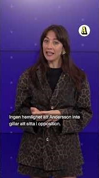 Ska Ulf Kristersson avgå? – My Rohwedder analyserar