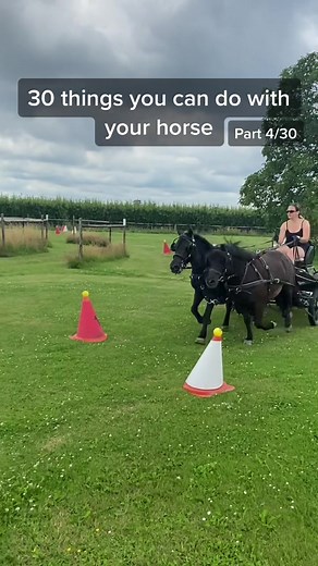 equestrian_movies op TikTok