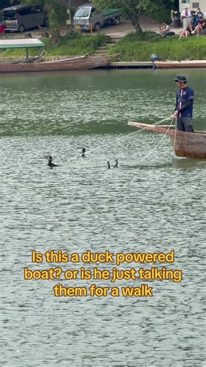 Duck Powered Boats in Kyoto, Japan