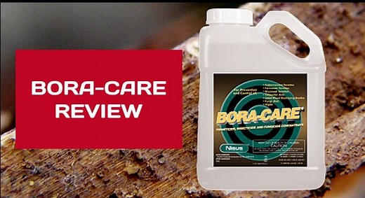 Bora-Care Termite Treatment Review: How It Compares to Termidor