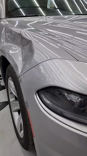 فيديوهات أنشأها Wolf protection (@wolfprotection.ku) باستخدام الصوت الأصلي - Wolf protection