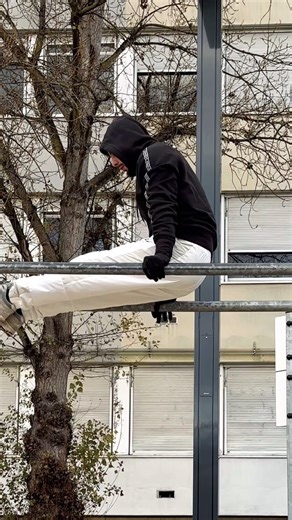 Entraînement Dips !