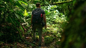 Ecotourism: summer vacations that support conservation