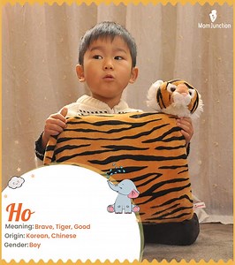 Ho Meaning, Origin, History, And Popularity