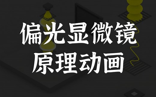 两分钟看懂偏光显微镜原理（动画展示）