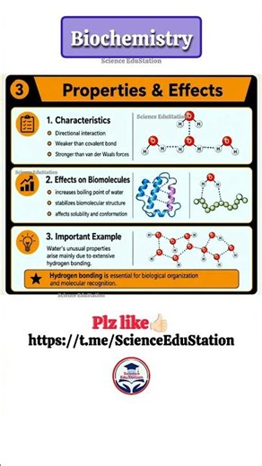 Biomolecules Class 12 Chemistry | Hydrogen bonding #biochemistry #shorts #neet #csirnet #chemistry