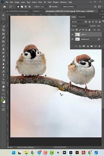 How to use Patch tool in Adobe Photoshop 2025