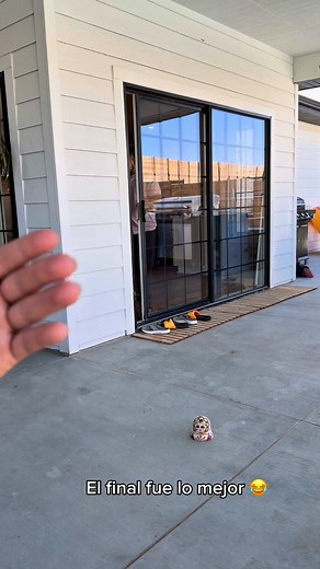 2.5M views · 180K reactions | Broma a mi esposo el final fue lo que más risa nos dio 藍 | Orland.94 | Facebook