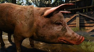 This Witcher 3 HD texture mod is impressive?