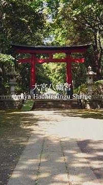【大宮八幡宮】大宮八幡宮を散策。チャンネルから本編の動画もぜひ▶️ #おでかけvlog #大宮八幡宮 #japantravel