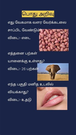 பொது அறிவு முக்கியமான வினாக்கள்-3140 Tamil#gkquiz #gktamil #quiz #trivia #tnpscstudy #generalknowled