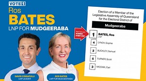 LNP health spokeswoman Ros Bates preferences party that is anti-abortion second on how-to-vote card