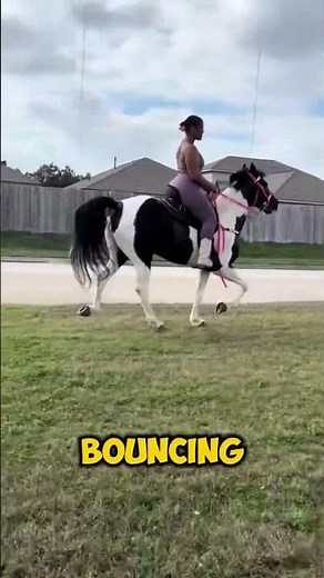 Meet The Tennessee Walking Horse: The Smoothest Ride In The Horse World #horse #shorts