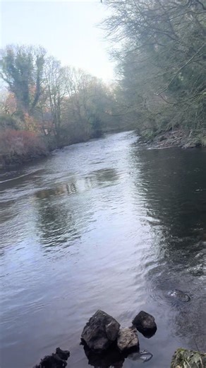 Exploring Brown Trout, Salmon, and Roach Fishing