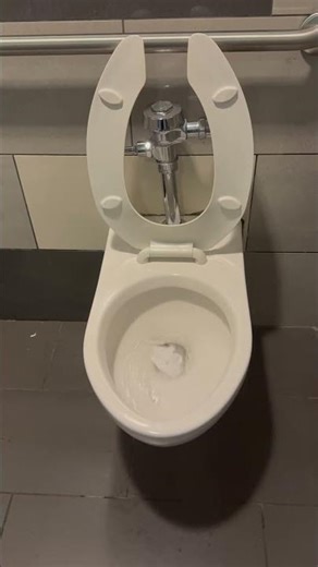 Palisades Center Mall Men’s Restroom 2020 Emily Vanessa Toilets