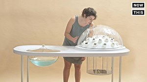 This edible byproduct was created by plastic waste | Did You See This?