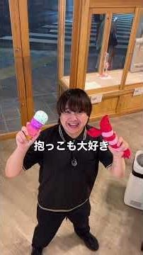 猫アレルギーでも飼いやすいと言われている猫ちゃんを紹介します！！気になる方はまずはソレイユまで！💨#猫アレルギー #サイベリアン