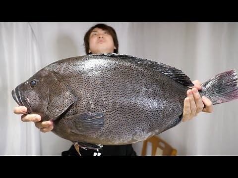 Uh oh, I got a super rare and expensive fish that's like a block of butter....