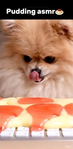 Pudding asmr#asmr#ai video