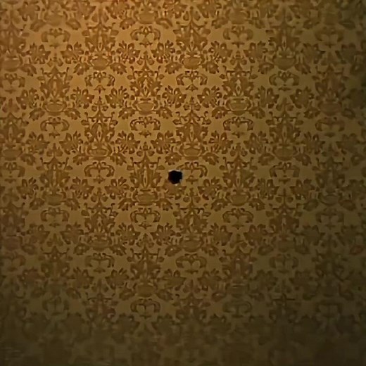 Exploring The Whole Truth: A Look Into The Ending Scene and Spoilers