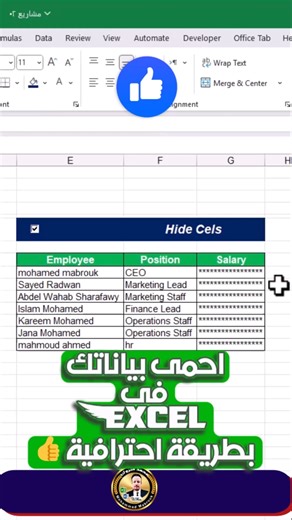 طريقة جديدة لحماية بياناتك فى الــ Excel 👍 . 99,9% of people don't know this 🤯 #Excel #اكسل | سماء المعرفة