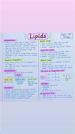 Lipids | Class 11 Biology | NCERT + NEET 🧬🧈