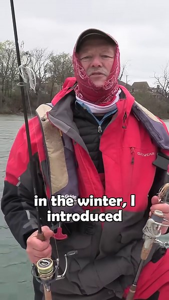 The new Scuttletail!