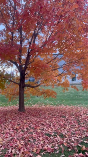 Jackie | From this day forward. #jackiebiddings #funny #foryou #explore #relatable #humor #couplecomedy #marriedlife #sarcasm #fblifestyle #Xander | Instagram