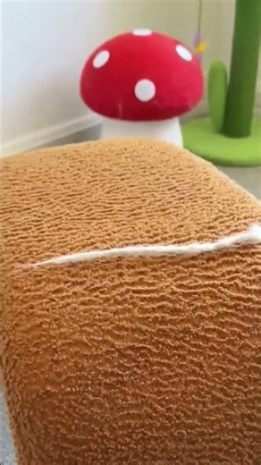 Cat Brushing Groomer Short Hair