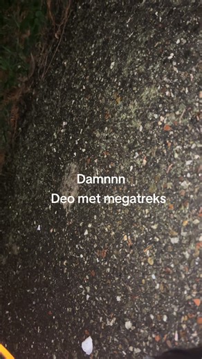 Video's van Pyro_gang (@diran62dersim) met original sound - TheVoiceOverPrince ⓸