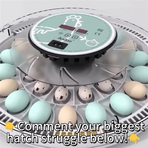 Fix Your Failed Hatch In 30 Seconds #hatchingchickeneggs