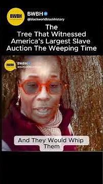This Tree Remembers What Happened in 1859 | Black History #blackhistory #america #shorts