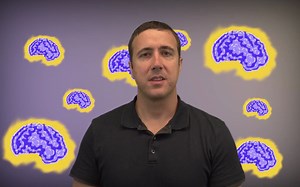 【coursera课程】 Principles of fMRI （720p）