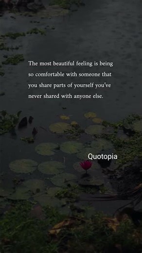 Most Beautiful Feeling 💞 Being Truly Comfortable With Someone ✨ #Love #Trust