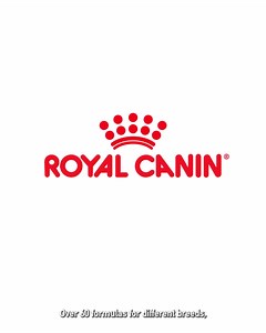 Feed your puppy’s unique needs with Royal Canin precise nutrition. | Royal Canin