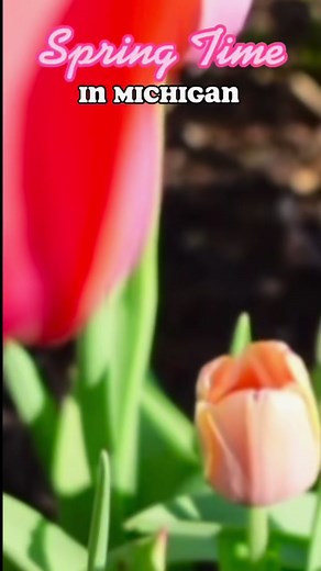 Michigan humor 🤣 #puremichigan #mittenstate #springtime #roadconstruction | Where The Road Wanders