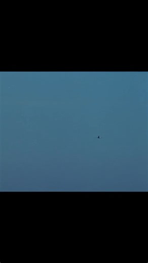 Kelly's Heroes Clip Sixteen | Ray's Movie Moments