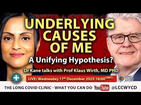 Underlying causes of #ME - a unifying hypothesis? #Myalgic #Encephalomyelitis