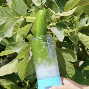Gardening Tips to Elevate Your Backyard! | Green Bean
