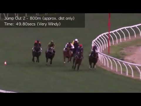 Jumpouts | 19 August 2016 | Heat 2