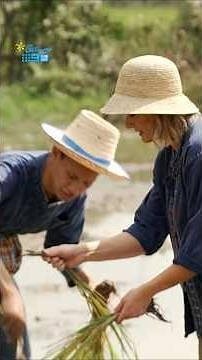 What It Actually Takes to Farm Rice in a Thai Village #reallife #agriculture