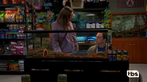 233K views · 5.4K reactions | Families come in all shapes, shells and even space capsules. #BigBangTheory #StupidPetTricks And don’t forget to watch The Big Bang Theory on tbs too! | TBS Network | Facebook